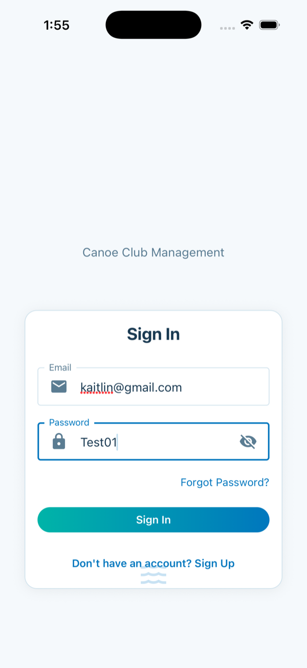 Email and password entered